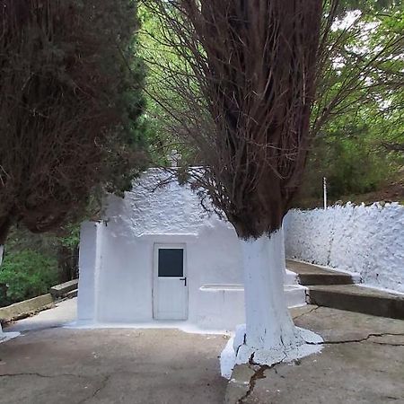 Traditional House In Asfendiou Agios Dimitrios  Eksteriør billede