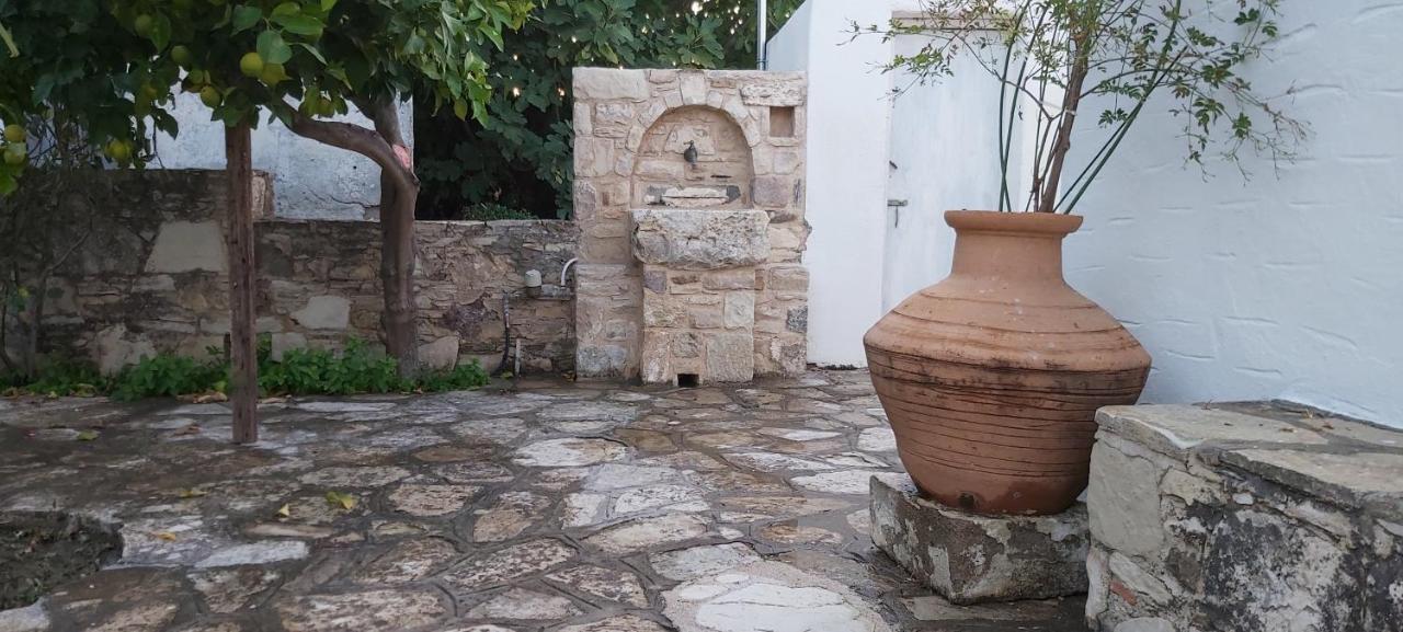 Traditional House In Asfendiou Agios Dimitrios  Eksteriør billede