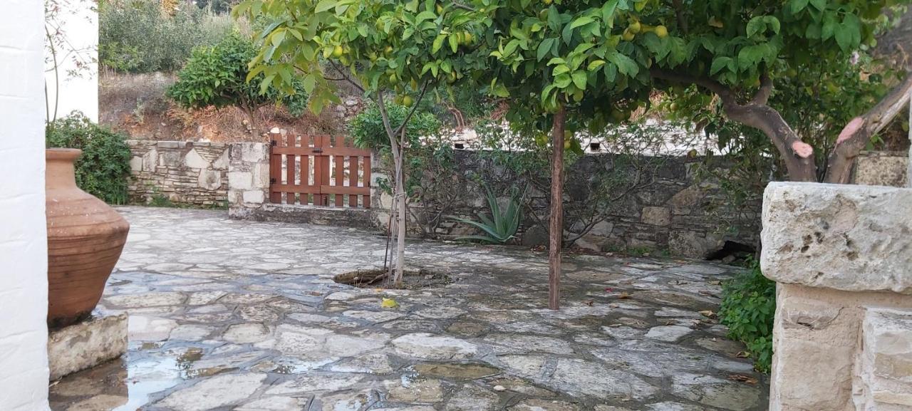 Traditional House In Asfendiou Agios Dimitrios  Eksteriør billede