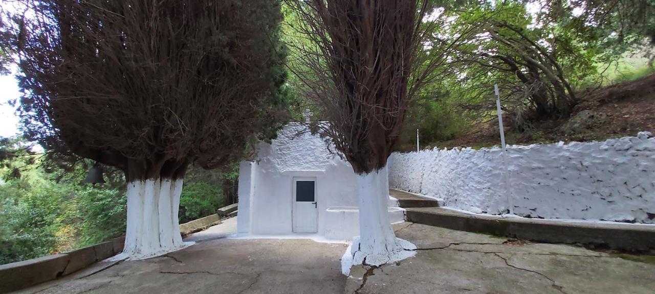 Traditional House In Asfendiou Agios Dimitrios  Eksteriør billede
