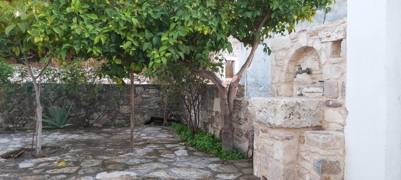 Traditional House In Asfendiou Agios Dimitrios  Eksteriør billede