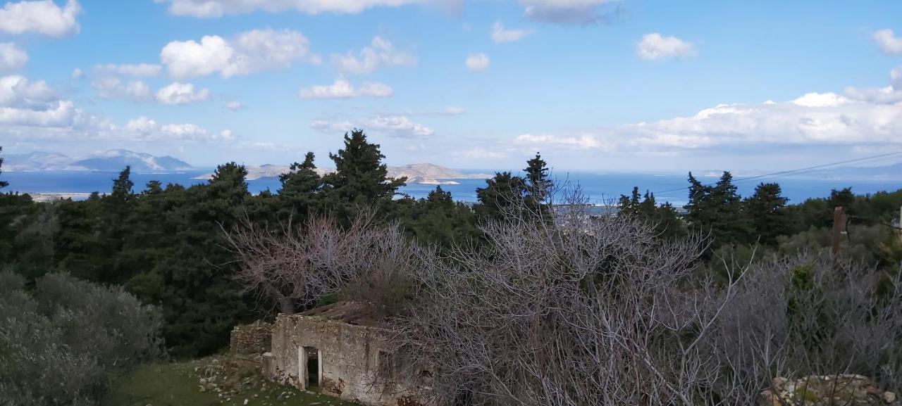 Traditional House In Asfendiou Agios Dimitrios  Eksteriør billede